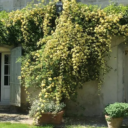 Vakantiehuis Maison Charmante A *