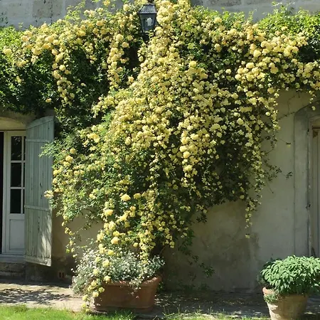Vakantiehuis Maison Charmante A